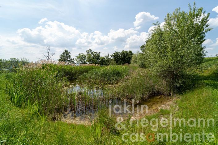 Image No.82-Maison de campagne de 9 chambres à vendre à Anghiari