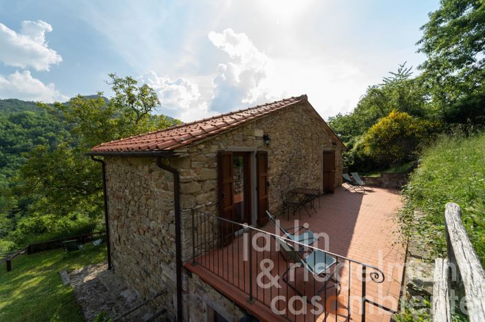 Image No.47-Ferme de 10 chambres à vendre à Stia