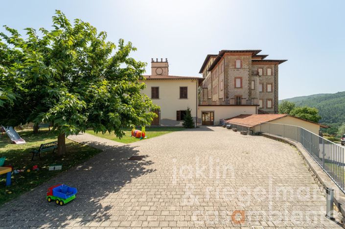 Image No.39-Maison de 35 chambres à vendre à Castèl San Niccolò
