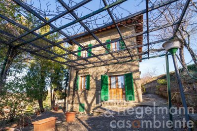 6208ed9394e96m343614