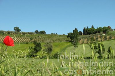 66b39058997d0m3447104