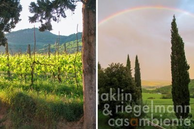 62e24d7b4b175m344705