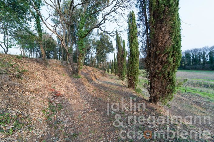 Image No.23-Maison de campagne de 11 chambres à vendre à Cecina