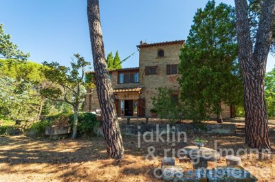 62ee7b8a65a2cm346201