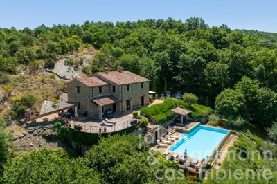 62b482a890ee8m347403