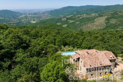 62b482b1f1deem347406