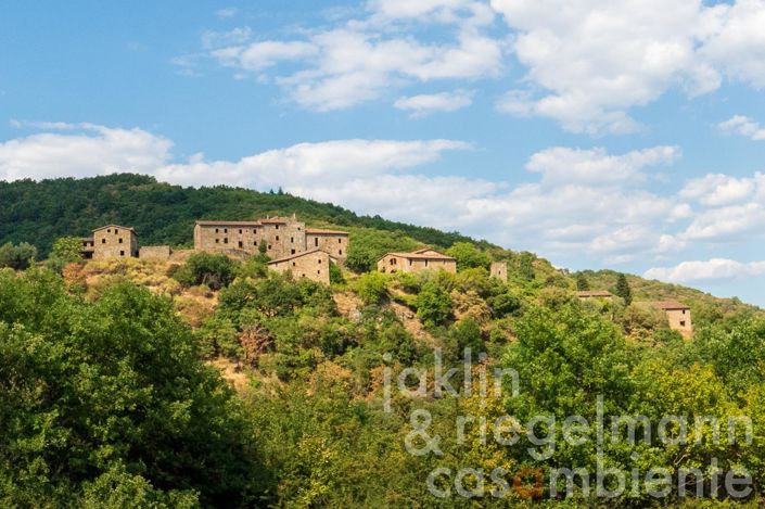 Image No.1-Chateaux for sale