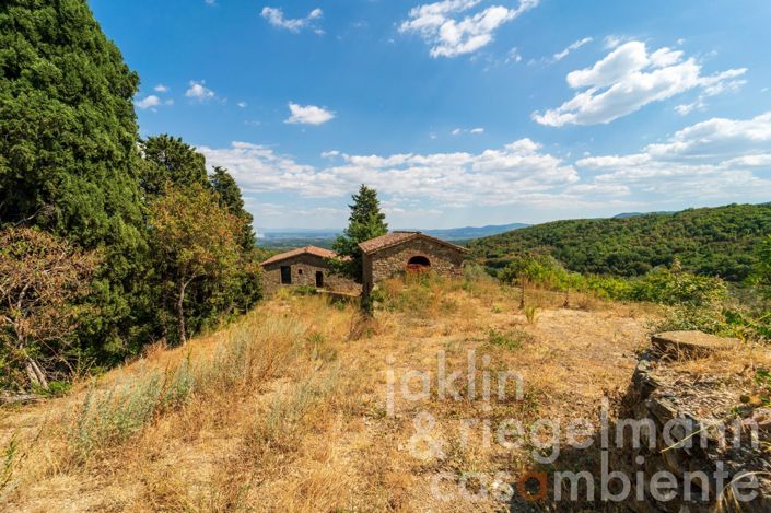 Image No.22-Châteaux à vendre à Figline Valdarno