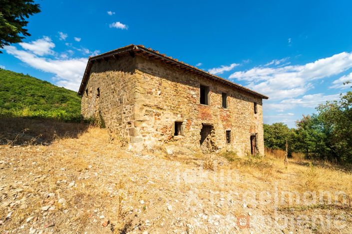 Image No.26-Châteaux à vendre à Figline Valdarno