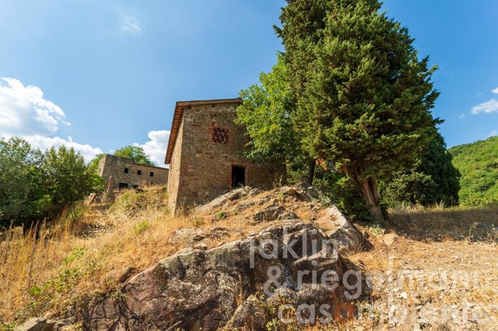 Image No.39-Châteaux à vendre à Figline Valdarno