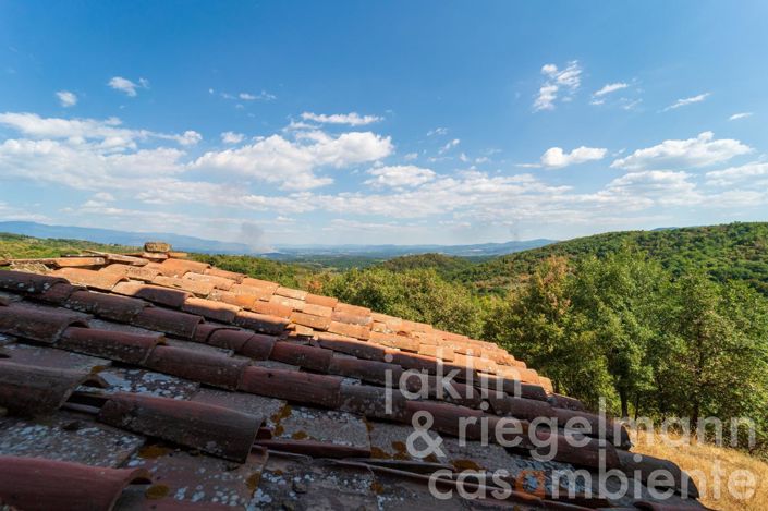 Image No.41-Chateaux for sale