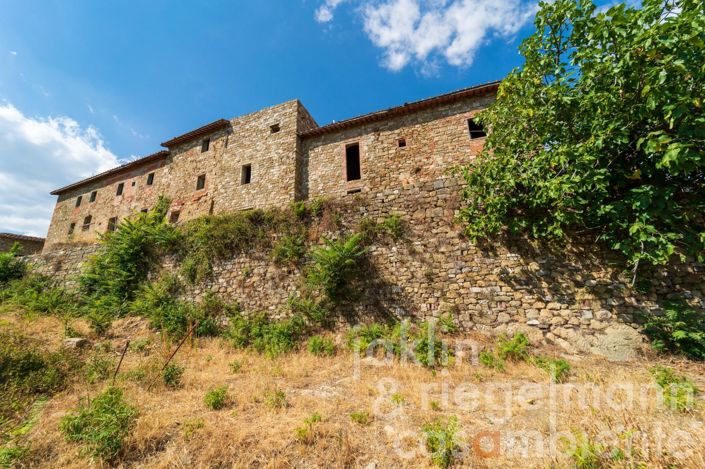 Image No.56-Chateaux for sale