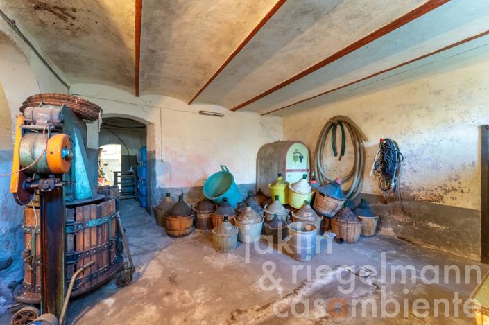 Image No.31-Maison de campagne de 13 chambres à vendre à Montespertoli