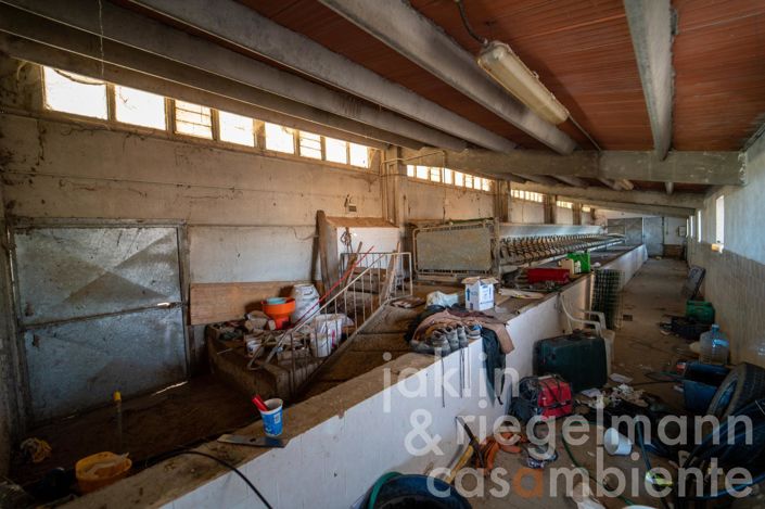 Image No.19-6 Bed Country House for sale