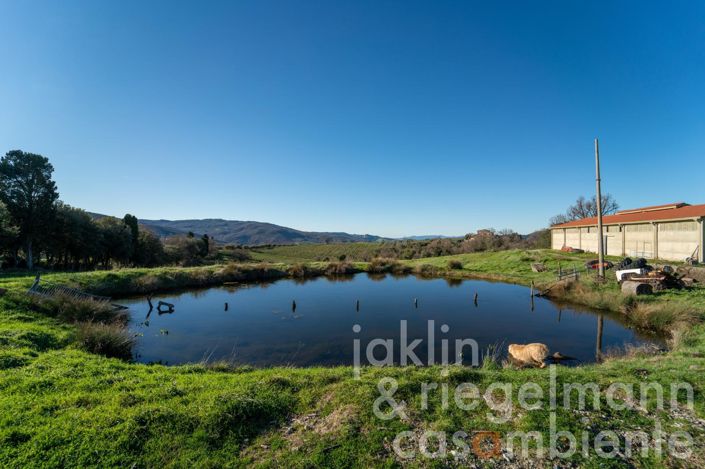 Image No.8-6 Bed Country House for sale