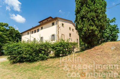 64c144be5d924m354504