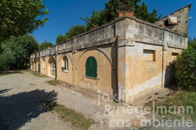 6500bda396f77m354719