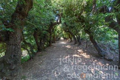 6500bd663ad32m354714