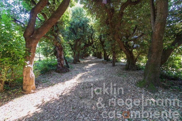 Image No.9-9 Bed Villa for sale