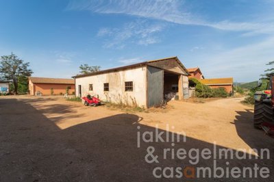 650d96451465am355512