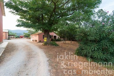 650d9669cfe6am355515