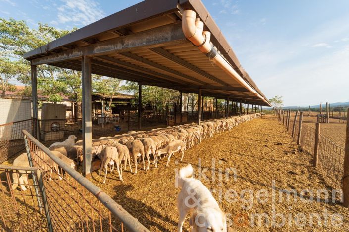 Image No.20-5 Bed Farmhouse for sale