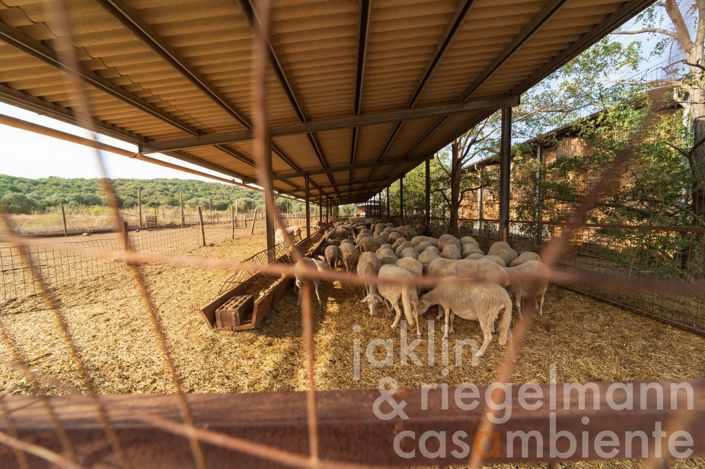 Image No.25-5 Bed Farmhouse for sale