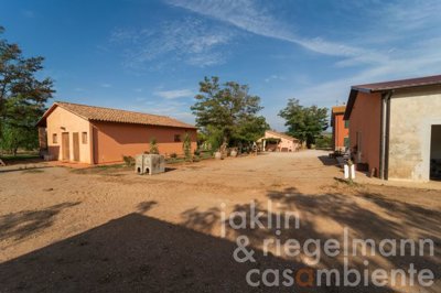 650d95df9ef30m355503