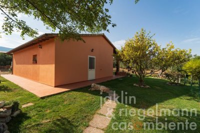 650d95e855c65m355504