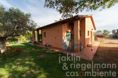 650d95f7b6de6m355506