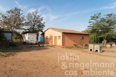 650d95fe6f06fm355507