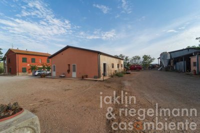 650d960a1fc39m355508