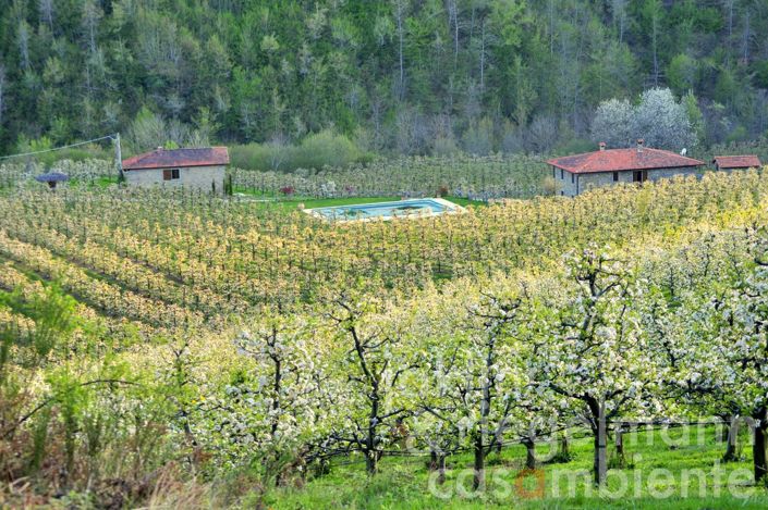 Image No.10-Maison de campagne de 5 chambres à vendre à Arezzo