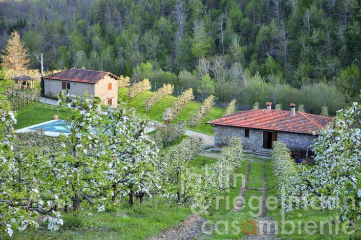 Image No.8-5 Bed Country House for sale