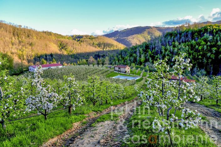 Image No.9-Maison de campagne de 5 chambres à vendre à Arezzo