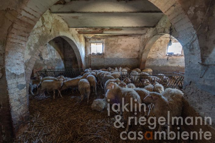 Image No.11-Farmhouse for sale