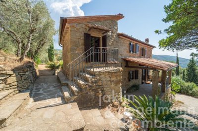 6732209252170m359610