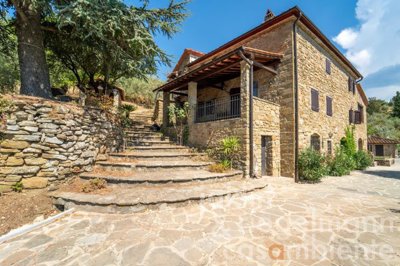 673221227afd5m359601