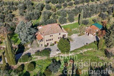 6740c686a131dm359653