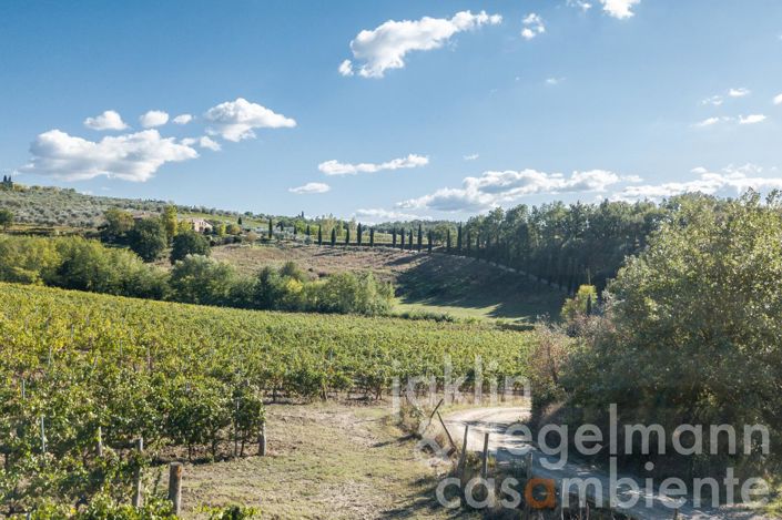 Image No.6-10 Bed Country House for sale