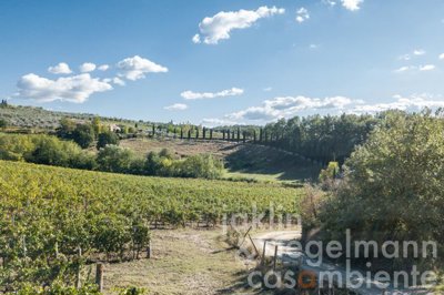 678d1d53ee260m360704