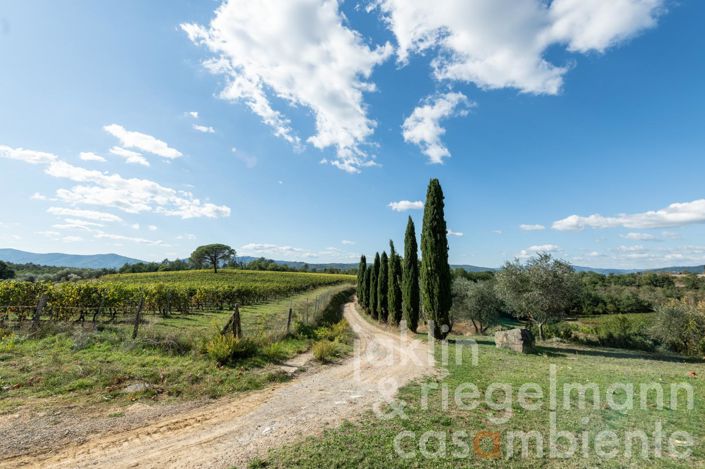 Image No.7-10 Bed Country House for sale