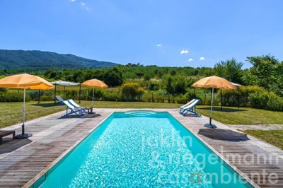 67b767c466a00m360734