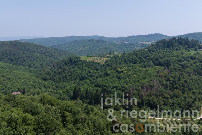 Image No.21-5 Bed Country House for sale