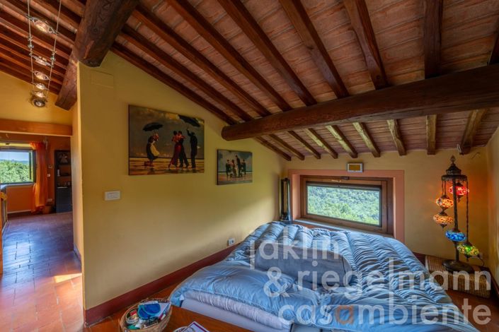 Image No.38-5 Bed Country House for sale