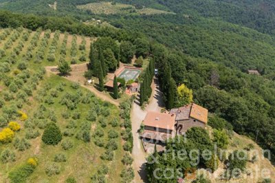 684edc0a0b41cm362404