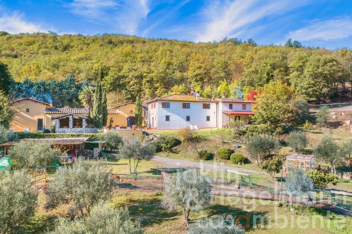 Image No.13-12 Bed Farmhouse for sale