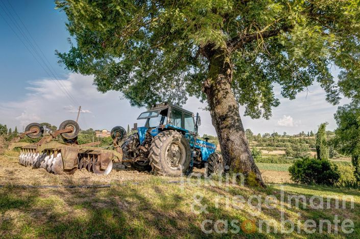 Image No.32-Maison de campagne de 9 chambres à vendre à Foiano della Chiana