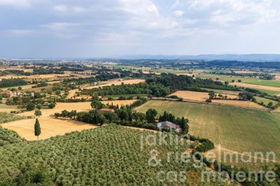 6888c9dfc808dm362709