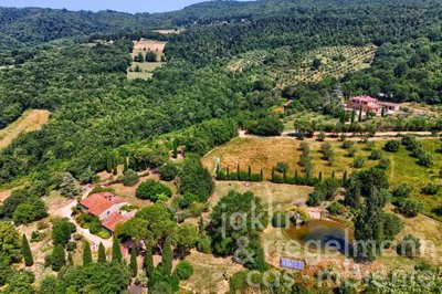 687779c2323c3m363207